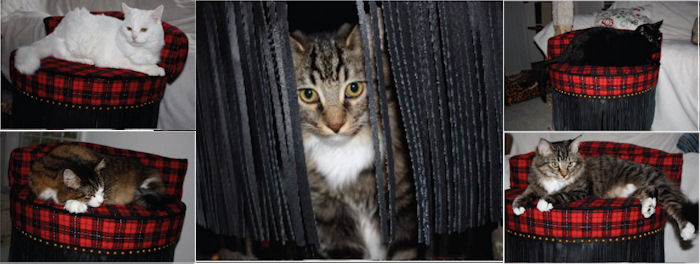 click thumbnail for larger image