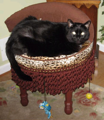 click thumbnail for larger image