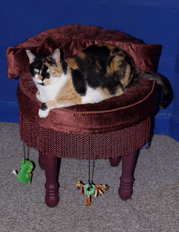 click thumbnail for larger image