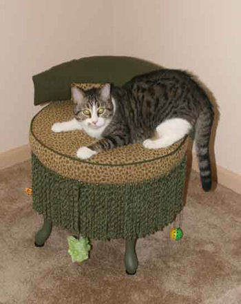 click thumbnail for larger image