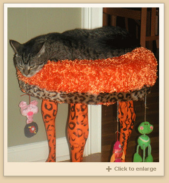 Divine Divan Photo - Click to Enlarge