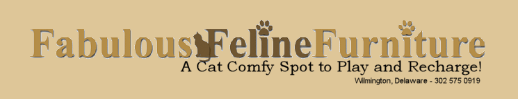 Fabulous Feline Furniture