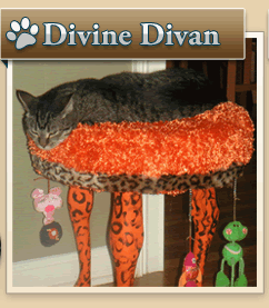 Divine Divan
